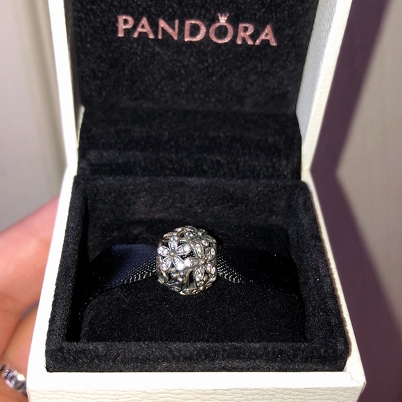 2 Pandora Charms - Picture 3 of 4